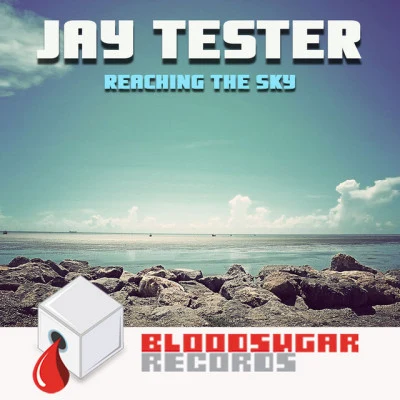 歌手 Jay Tester