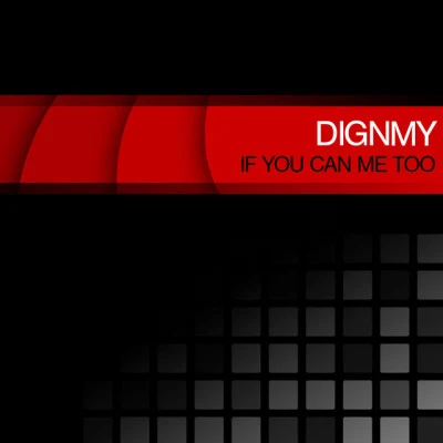 歌手 DIGNMY