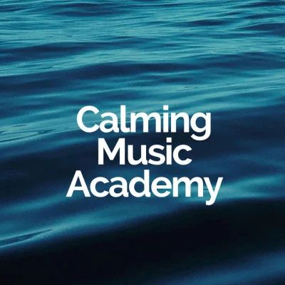 Calming Music Academy/Ambiente/Ayurveda Meditation Ambient Sounds