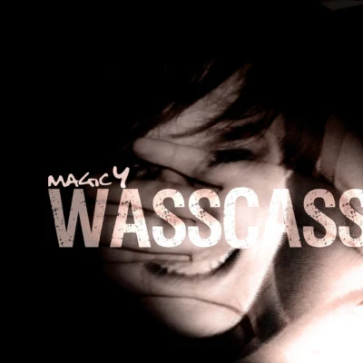 歌手 Wasscass