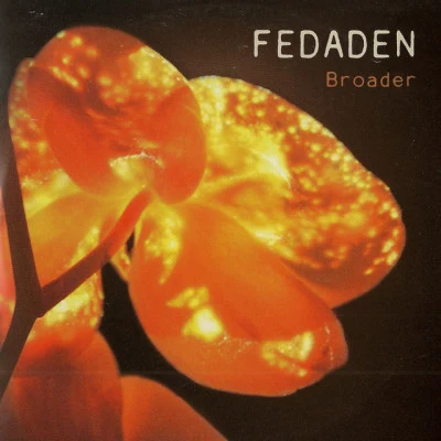 歌手 Fedaden