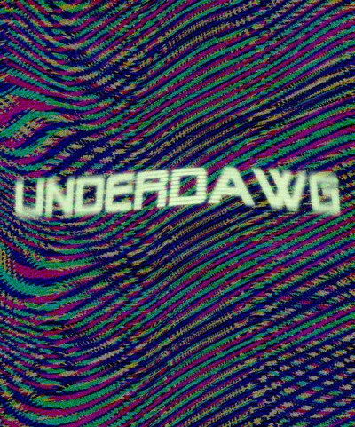 歌手 Underdawg