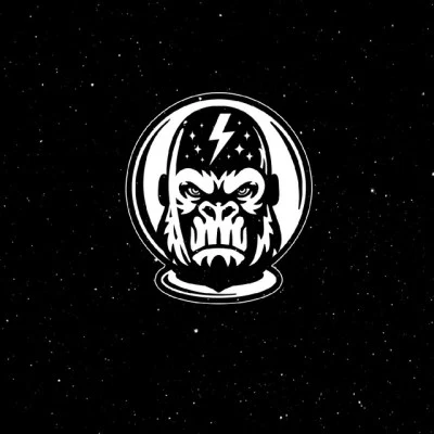 歌手 Space Chimp