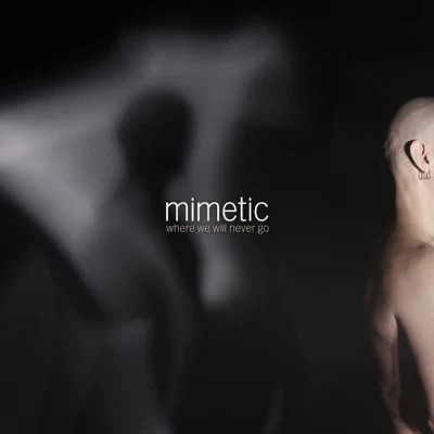 歌手 Mimetic