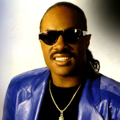 歌手 Stevie Wonder