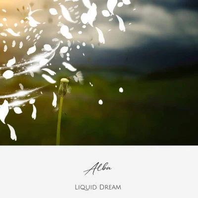 歌手 Liquid Dream