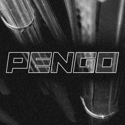 歌手 Pengo