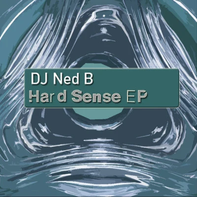 歌手 DJ Ned B