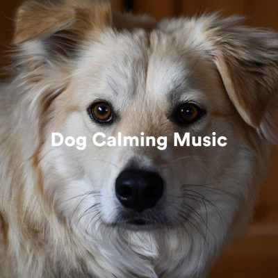 Calming Music for Dogs/Jingle Cats/music for dog Sears Piano For Pets Sleep