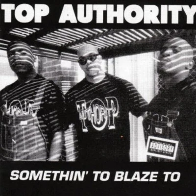 歌手 Top Authority