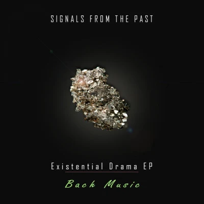 歌手 Signals From The Past