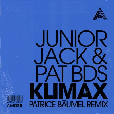 Pat BDS/Junior Jack Tecky Dream (Audiojack Remix)