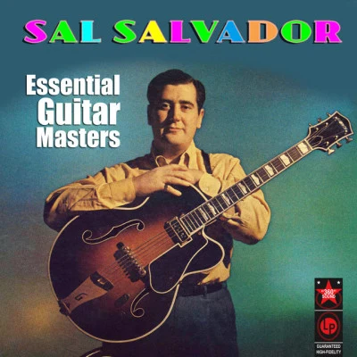 歌手 Sal Salvador