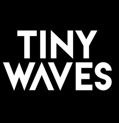 歌手 Tiny Waves