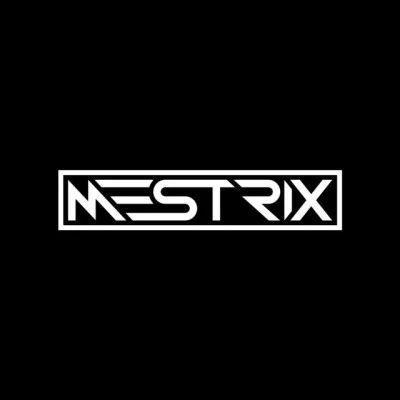 歌手 Mestrix