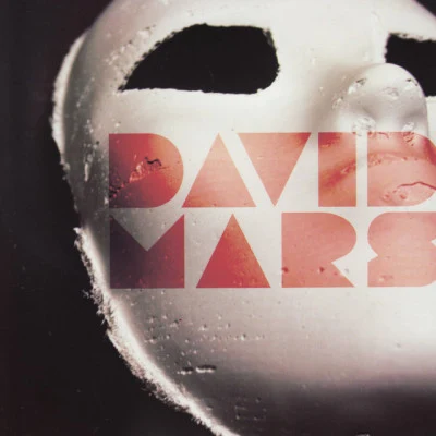 歌手 David Mars