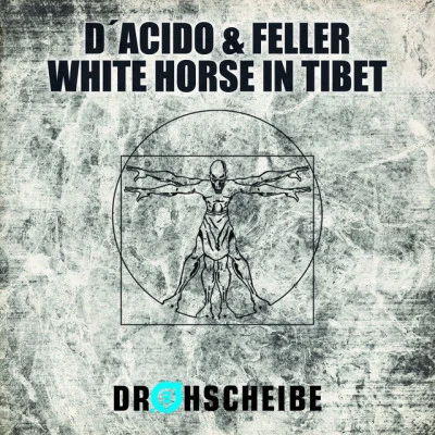 歌手 D´AcidoFeller