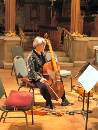 Mary Springfels/The Newberry Consort Wanderers Voices - Medieval Cantigas & Minnesang