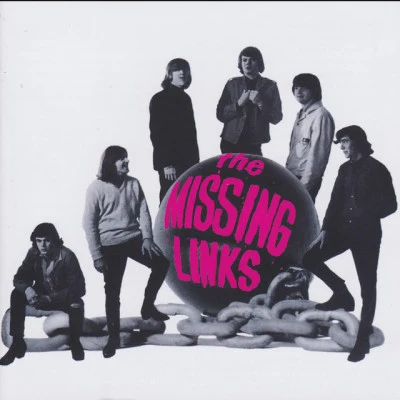 歌手 Missing Links