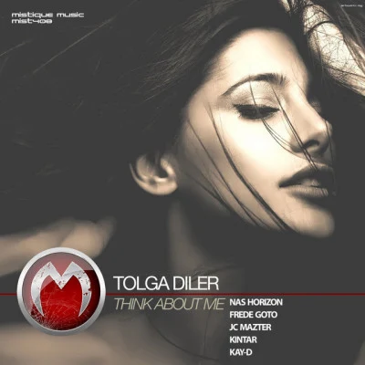 歌手 Tolga Diler