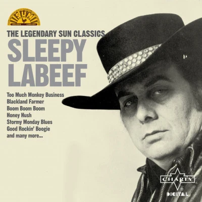 Sleepy LaBeef the sun records sound of sleepy LA beef (30 rockabilly revival great是)