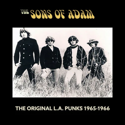 歌手 The Sons Of Adam