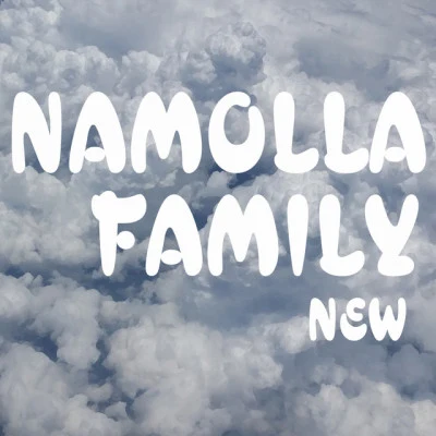 歌手 Namolla Family N다소나