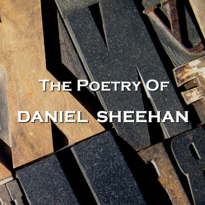 歌手 Daniel Sheehan