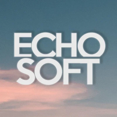 歌手 Echosoft