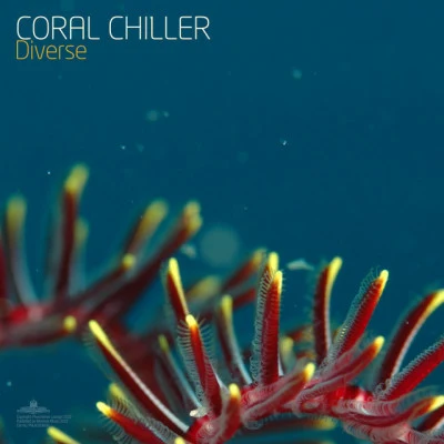 歌手 Coral Chiller