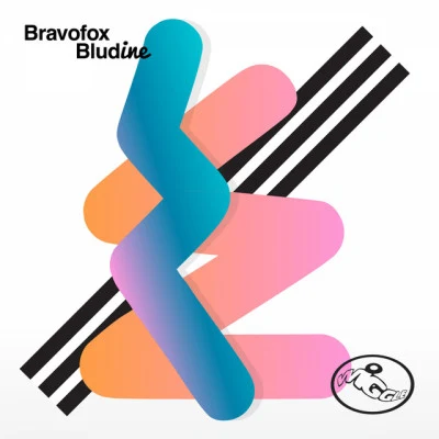 歌手 Bravofox