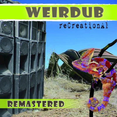 歌手 Weirdub