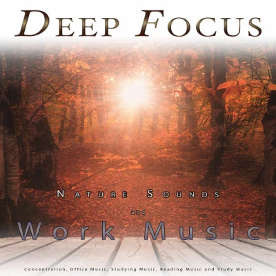 Deep Focus Training House