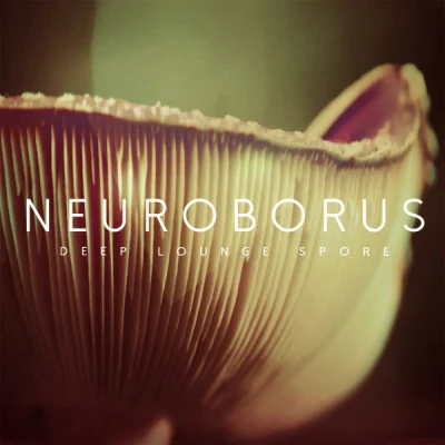 歌手 Neuroborus