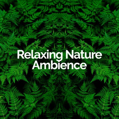 Relaxing Nature Ambience/Spa Relaxation & Spa/Nature Sounds Artists Forest Aqua