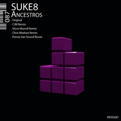 歌手 Suke8