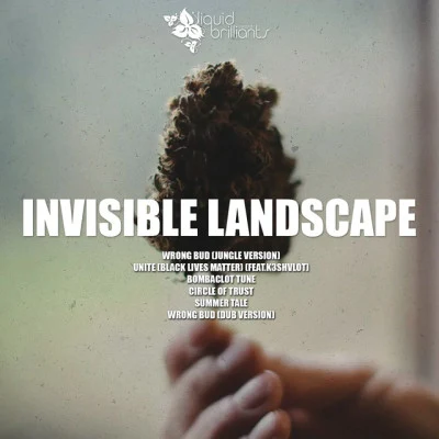 歌手 Invisible Landscape