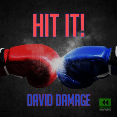 歌手 David Damage