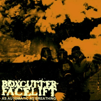 歌手 Boxcutter Facelift