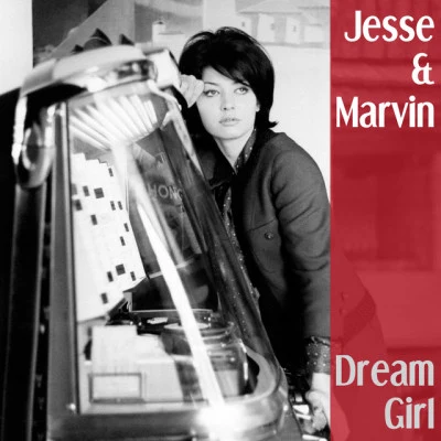 歌手 Jesse & Marvin