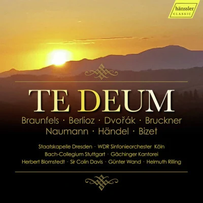 歌手 Trompeten Consort Friedemann Immer