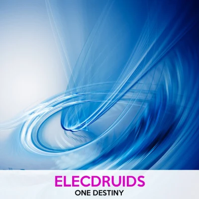 歌手 Elecdruids