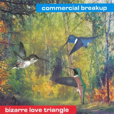 Commercial Breakup compact disco volume five - l ADO mat 2000