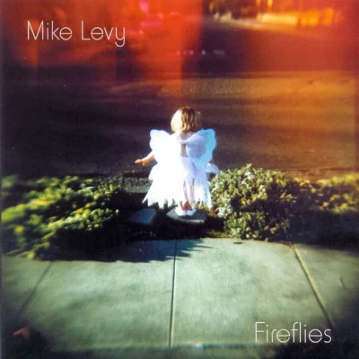 歌手 Mike Levy