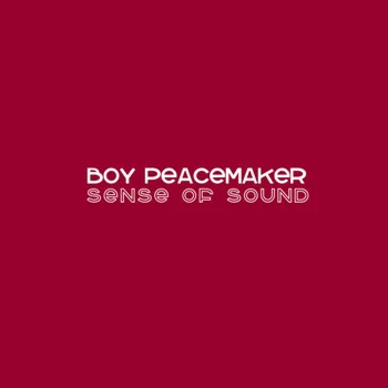 歌手 Boy Peacemaker