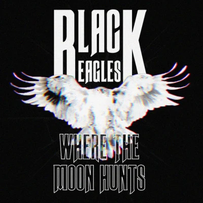 歌手 Black Eagles