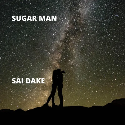 歌手 Sugar Man