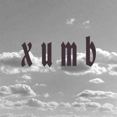 歌手 Xumb