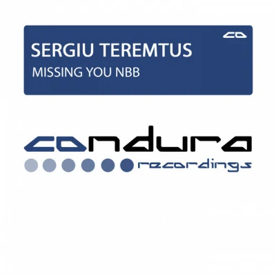 歌手 Sergiu Teremtus