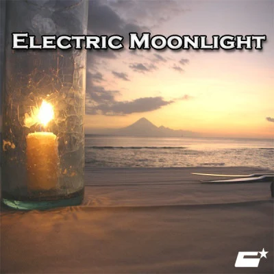 歌手 Electric Moonlight